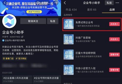 揭秘抖音嘉年华的价值(抖音嘉年华能为平台带来多少收益)