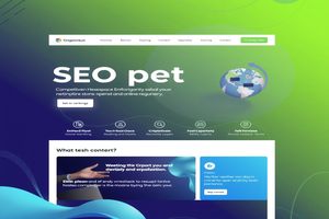 SEO高级教程：深入解析关键词优化策略，提升网站排名
