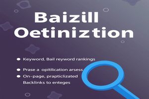 SEO优化外包：如何高效提升网站排名？ 揭秘：SEO优化外包服务，为何成为企业的首选？